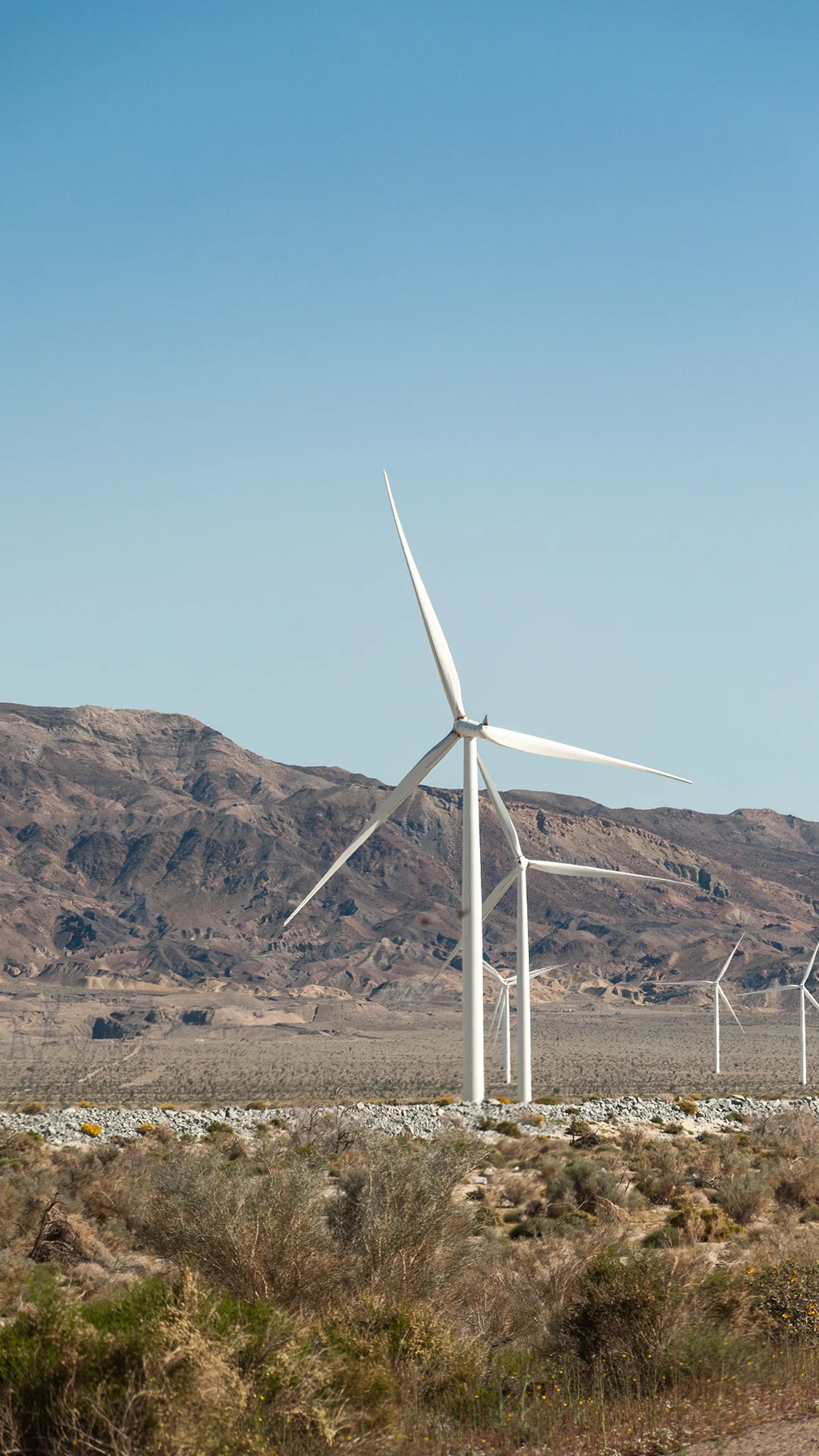 Energy & Renewables